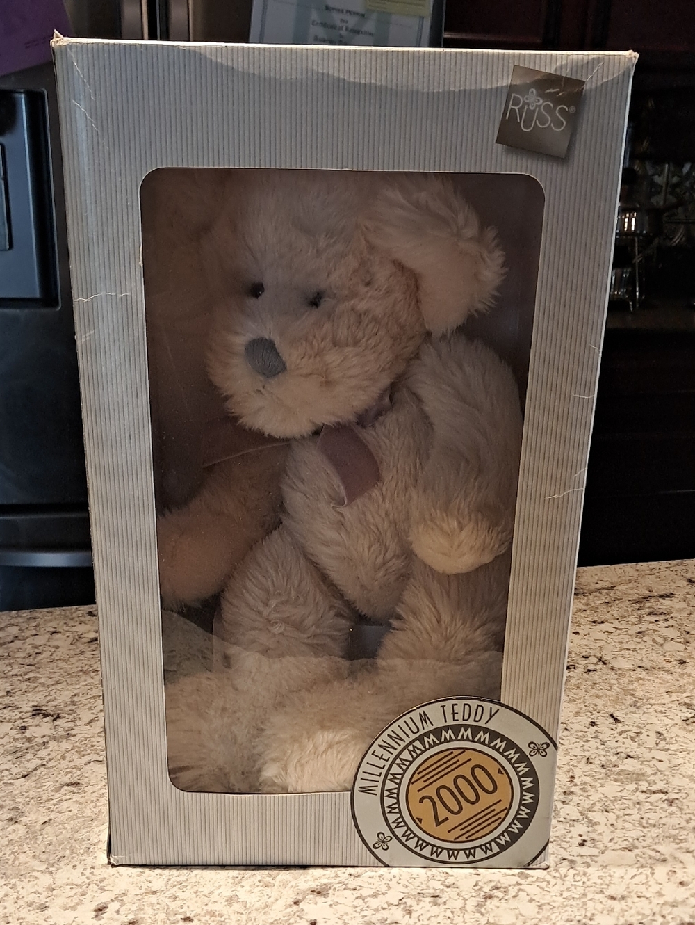 Millenium Teddy Bear Year 2000